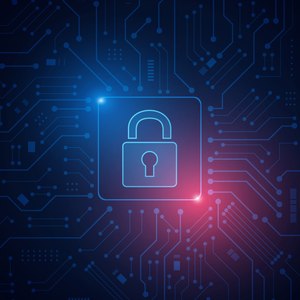 Download the graphic for 10 strategies to help your organization prevent data breaches and system compromises.