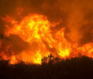 A series of blazes that started in Northern California the night of Oct. 8 killed at least 43 people and destroyed about 8,900 homes and other buildings. (Photo/AP)