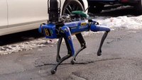 Video: NYPD tests robot dog at crime scene