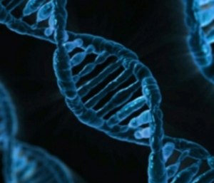 Studies estimate that people with some genetic profiles can be almost twice as likely as those without to experience PTSD.