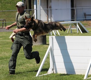 K-9 Doby was assisting in an armed robbery call when he collapsed and stopped breathing. (Photo/ODMP.org)