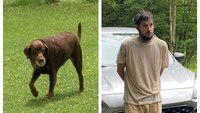 Dog gets $2,000 reward for locating escaped 'survivalist' inmate