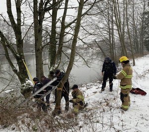 Firefighters found that the dog had made it to shore but was at the bottom of a small cliff from an embankment.