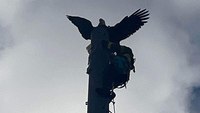 Photos: Fla. firefighters rescue eagle impaled by lightning rod on radio tower