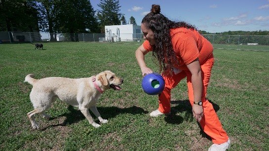 Service dog training program ends as N.J. women’s prison faces closing