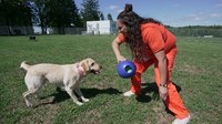 Service dog training program ends as N.J. women's prison faces closing