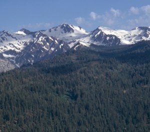 Walla Walla County Fire District 4 Firefighter-Paramedic Jestin Goodson was hiking in the Eagle Cap Wilderness in Oregon on a family trip when he discovered an injured hiker at the bottom of a ravine and led the operation to rescue her.