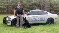 N.C. K-9 killed during shootout with robbery suspect
