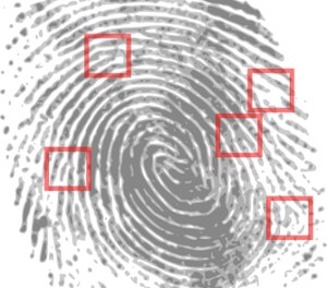 The Integrated Automated Fingerprint Identification System merges local, state and federal fingerprint records.