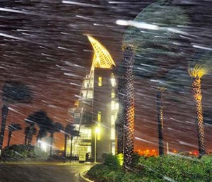 Trees sway from heavy rain and wind from Hurricane Matthew in front of Exploration Tower early Friday in Cape Canaveral, Fla. (Craig Rubadoux/Florida Today via AP)