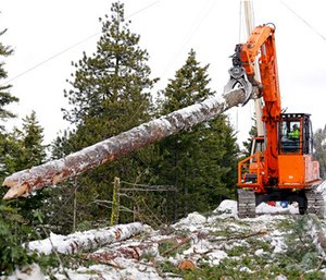 A log yarder moves a log into position above a slope where a crew is thinning a 100-acre patch on private land owned by the Nature Conservancy.