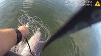 ‘I got you, buddy': Watch Fla. cop free dolphin tangled in net