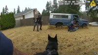 'Good boy, Eddie!': Video shows Wash. K-9 leading deputies to spot where 2 armed suspects were hiding