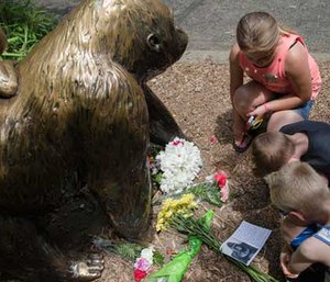 Makeshift memorial at the Cincinnati Zoo gorilla exhibit