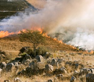 During the 2017 disaster, “KT gave life-saving instructions to citizens in situations that were so unique that no emergency fire dispatch protocols existed for them. (Photo/Pixabay)
