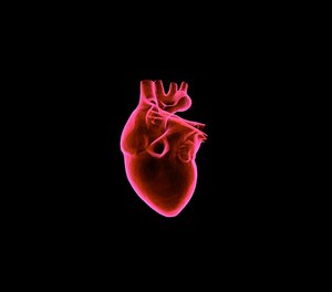 The findings are considered preliminary until a full paper is published in a peer-reviewed journal.