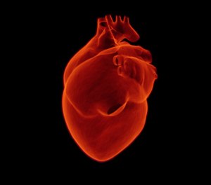 A recent study of more than 50,000 out-of-hospital cardiac arrests found that ROSC rates dropped 18% nationwide in the early weeks of the pandemic, and dropped even lower in areas with a high number of COVID-19 deaths.