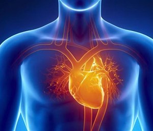 Firefighters with preexisting conditions and who are not physically fit are likely at greater risk of a cardiac event.