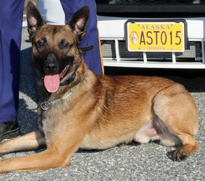 K-9 Helo was shot several times and died from his injuries.