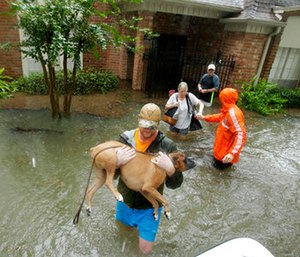 Volunteers evacuate a neighborhood inundated by floodwaters from Tropical Storm Harvey.