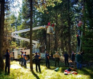 A 70-year-old Oregon hunter was rescued after hanging upside-down for two days about 30 feet above ground. (Photo/Umatilla County Sheriff's Office)