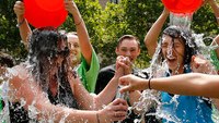 ALS-related gene found with help from Ice Bucket Challenge 