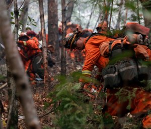 Inmate firefighters cut down trees along Highway 29 as wildfires continue to burn near Calistoga, Calif.