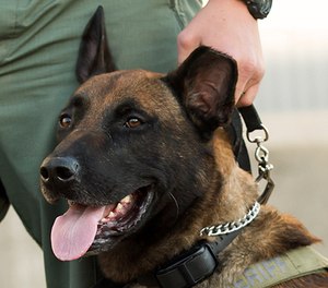 K-9 Khan
