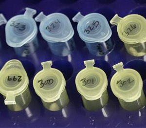 Vials of evidence in a sexual assault case are labeled and sorted in the biology lab at the Houston Forensic Science Center in Houston. (AP Image)