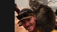 Cat refuses to leave firefighter who rescued her