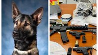 A nose for trouble: LAPD K-9 finds heroin, fentanyl and a rifle hidden in vending machine