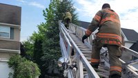 Video: N.J. firefighters rescue monitor lizard from tree