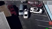 Video: Fla. woman runs over deputy in attempted getaway