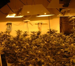 There’s a looming chemical threat with marijuana products, aside from other substances being added to marijuana like PCP, methamphetamine, cocaine and MDMA.