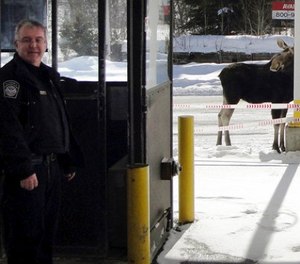 In this Dec. 1, 2016 photo provided by U.S. Customs and Border Protection, a moose stands at the border crossing station between the U.S. and Canada at Norton, Vt., manned by agent Mario Marquis, left. (U.S. Customs and Border Protection via AP)