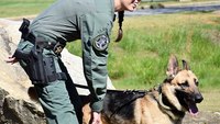 How to start and fund a police K-9 unit