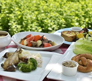 Understanding the basics of nutrition goes a long way when it comes to lifestyle changes.