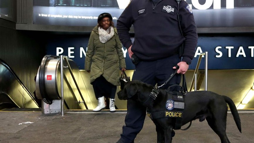 Nashville Predators add explosive-sniffing dogs to security measures