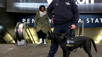 Trump admin moves to remove bomb-sniffing dogs from travel hubs