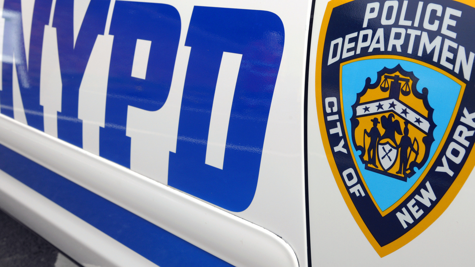 NYPD searching for gang member who confronts officers tries to grab firearms NYPD searching for gang member who confronts officers tries to grab firearms