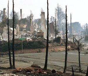 Chimneys of homes destroyed in the Oakland Hills by fire are visible beyond the black, charred trunks of trees also consumed by the firestorm which swept through the area in Oakland, Ca., Oct. 22, 1991.