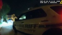 Video: Off-duty Fla. deputy fired after fleeing traffic stop