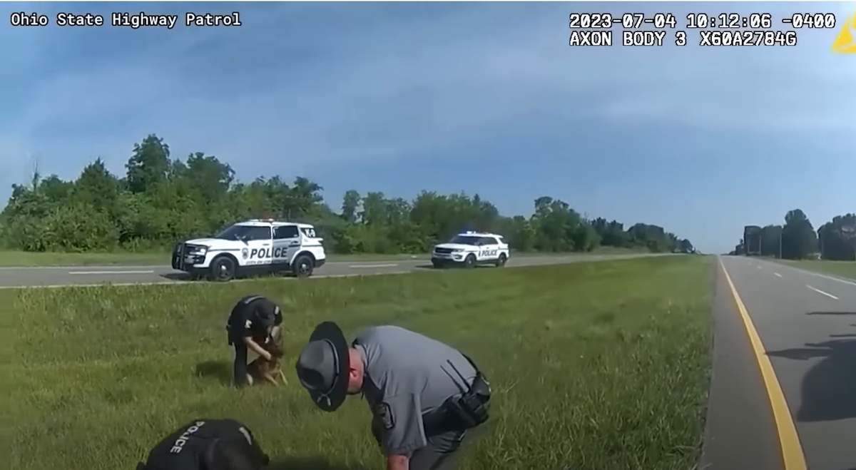 Documents: Ohio Officer Not Fired For Releasing K-9 On Driver, But For ...