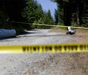 A preliminary report from the National Transportation and Safety Board says the small medical plane broke up in flight last month and then crashed into a densely forested Northern California mountain range, killing all four people aboard.