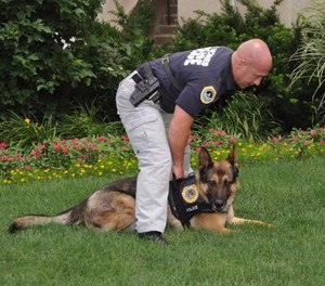 Too often the K-9 unit trains independently, yet they are working to support the patrol division.