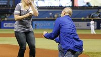 Firefighter who saved stabbing victim proposes at Rays game