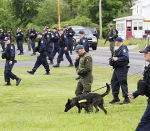 Teams of corrections officers and a police dog walk across a field towards woods near the Clinton Correctional Facility, Tuesday, June 16, 2015.