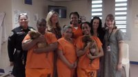 New program brings puppy fostering to N.Y. incarcerated young adults