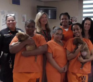 The rescue group will train all participants on how to care for the puppies.