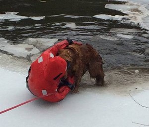 Firefighters donned ice rescue suits to get to Emmett. (Photo/North Hampton Fire Department)